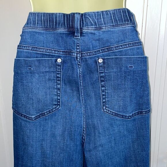 J. Jill Authentic Fit Slim Ankle blue denim jeans - Picture 5 of 8